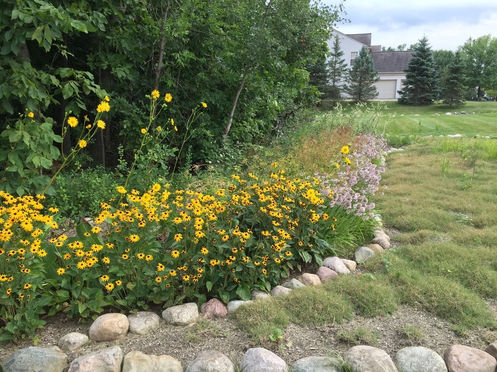 Compilation of Native Perennial Garden Projects by Creating Sustainable Landscapes, LLC - Photo 13