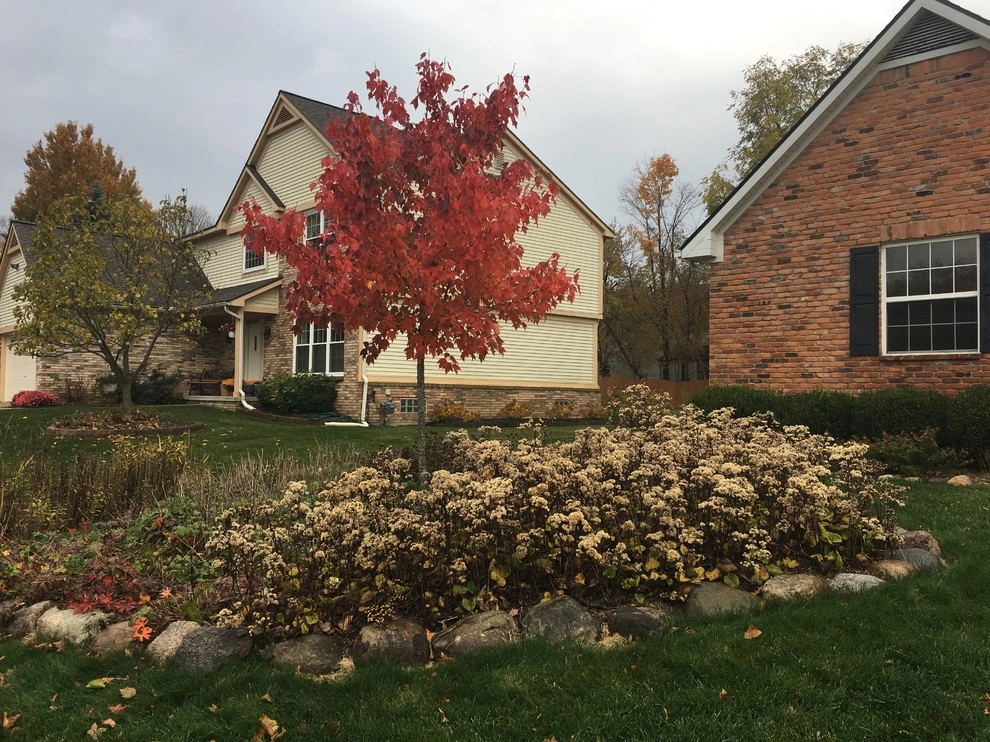 Compilation of Native Perennial Garden Projects by Creating Sustainable Landscapes, LLC - Photo 16