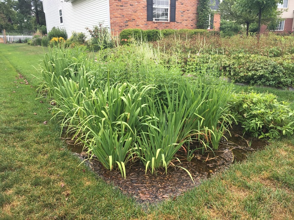 At home July 2017 by Creating Sustainable Landscapes, LLC - Photo 4