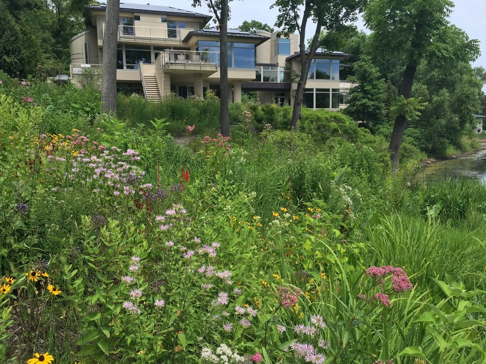 Compilation of Natural Native Plantings by Creating Sustainable Landscapes, LLC - Photo 9