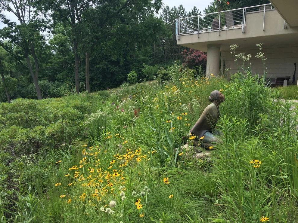 Compilation of Natural Native Plantings by Creating Sustainable Landscapes, LLC - Photo 10