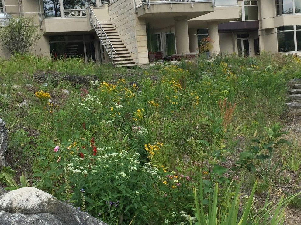 Compilation of Natural Native Plantings by Creating Sustainable Landscapes, LLC - Photo 3