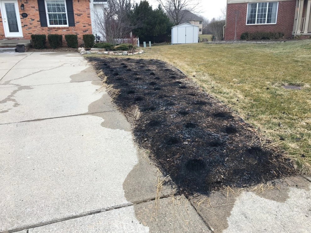 2017 by Creating Sustainable Landscapes, LLC - Photo 5
