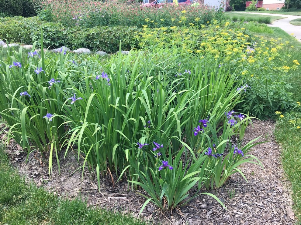 2017 by Creating Sustainable Landscapes, LLC - Photo 16