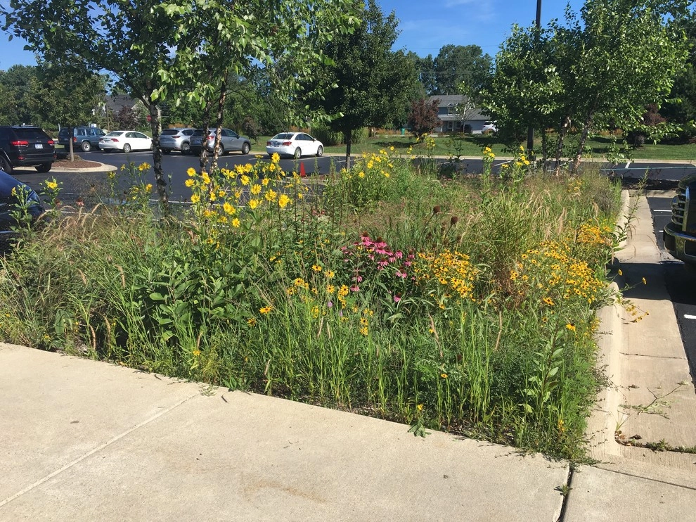 2017 by Creating Sustainable Landscapes, LLC - Photo 9