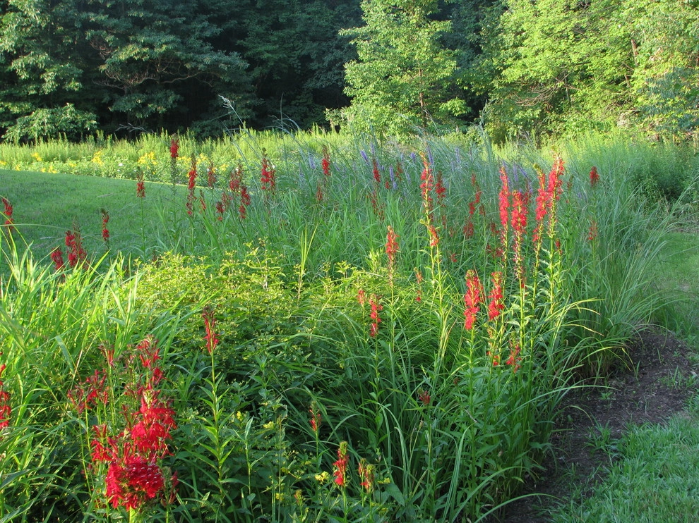 Compilation of Rain Garden Projects by Creating Sustainable Landscapes, LLC - Photo 3