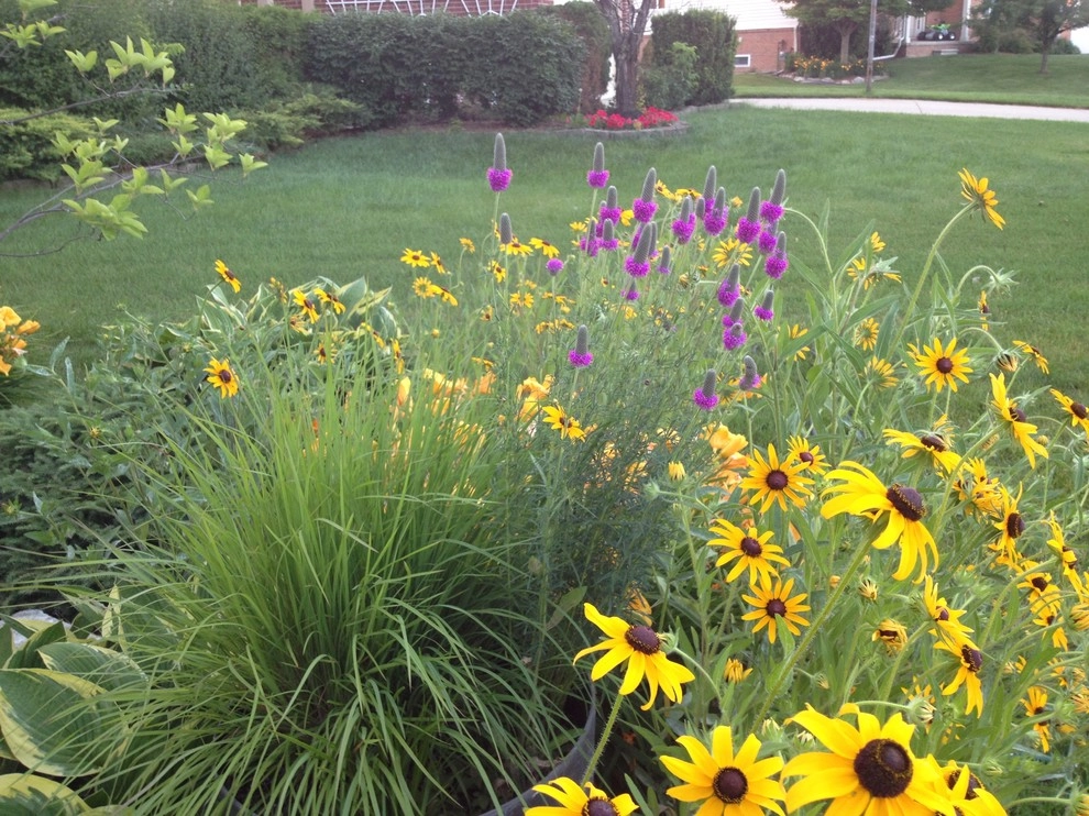 Compilation of Native Perennial Garden Projects by Creating Sustainable Landscapes, LLC - Photo 2