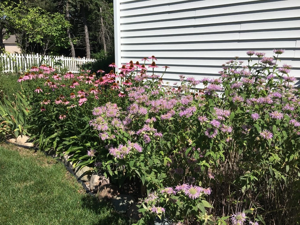 Compilation of Native Perennial Garden Projects by Creating Sustainable Landscapes, LLC - Photo 7