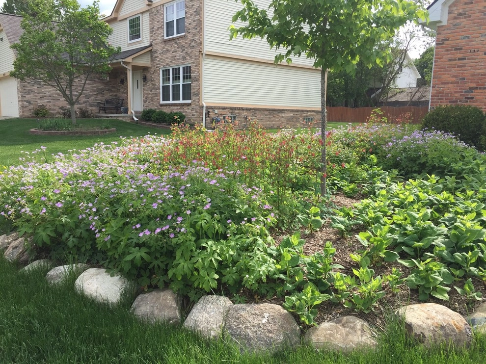 Compilation of Native Perennial Garden Projects by Creating Sustainable Landscapes, LLC - Photo 12
