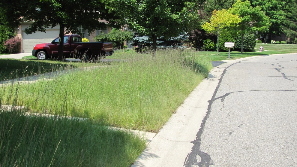 Compilation of Native Grasses Projects by Creating Sustainable Landscapes, LLC - Photo 3