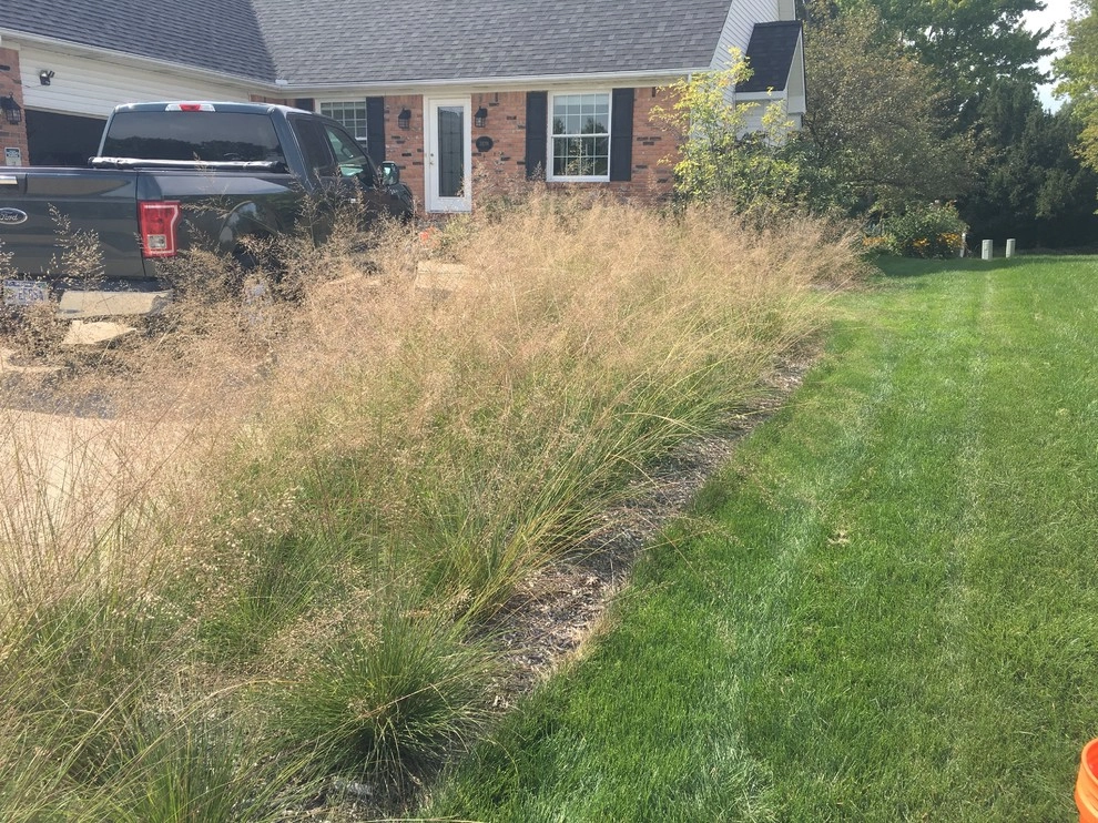 Compilation of Native Grasses Projects by Creating Sustainable Landscapes, LLC - Photo 4