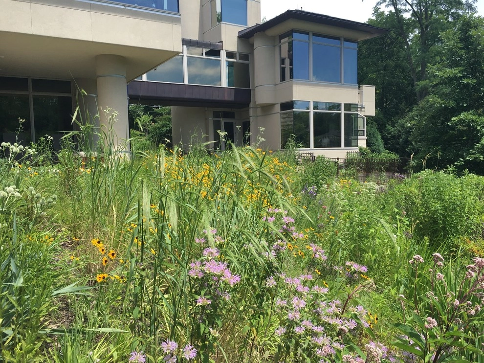Compilation of Natural Native Plantings by Creating Sustainable Landscapes, LLC - Photo 12