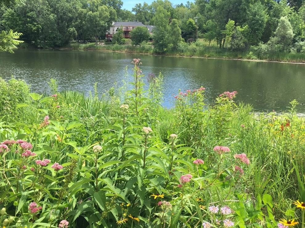Compilation of Natural Native Plantings by Creating Sustainable Landscapes, LLC - Photo 11