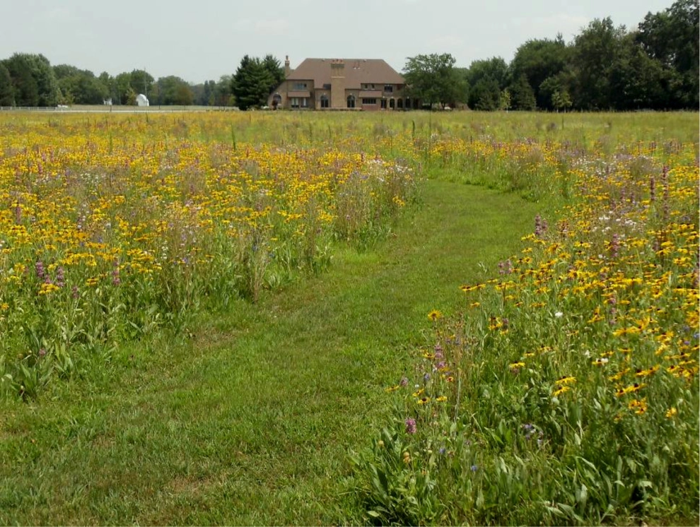 Compilation of Natural Native Plantings by Creating Sustainable Landscapes, LLC - Photo 7