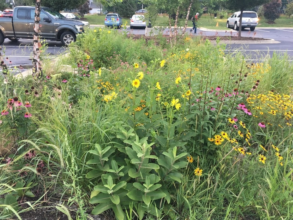 2017 by Creating Sustainable Landscapes, LLC - Photo 7