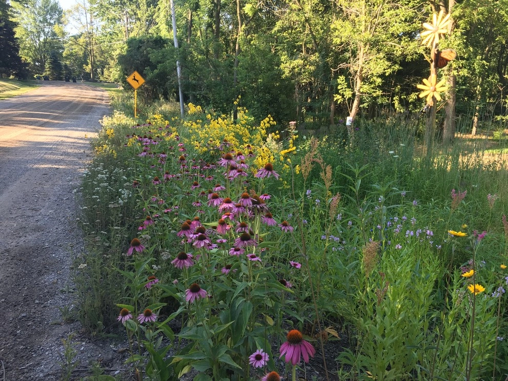 2017 by Creating Sustainable Landscapes, LLC - Photo 11