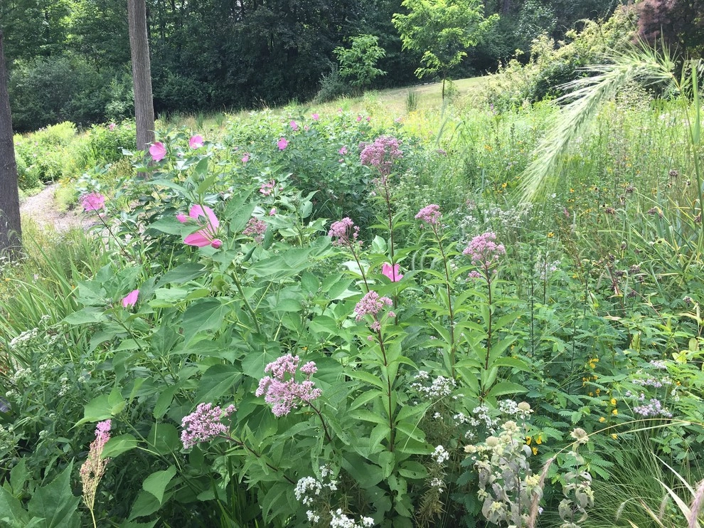 2017 by Creating Sustainable Landscapes, LLC - Photo 13