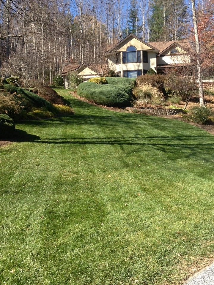 Homestead Lawn & Landscape - Photo 12