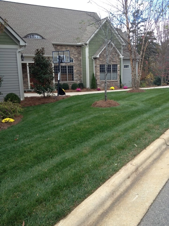 Homestead Lawn & Landscape - Photo 10