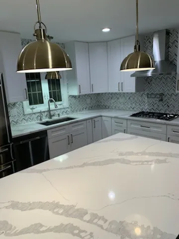 Rosemont Culinary by Premier Kitchen & Bath Remodeling - Photo 4