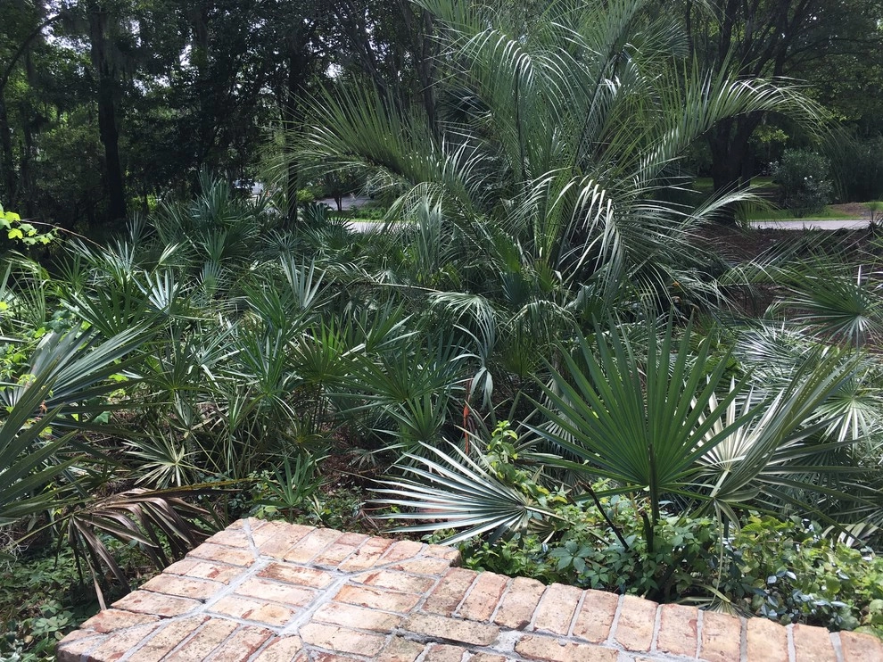 Taming a Jungle by Creative Landscapes, Inc. - Photo 12