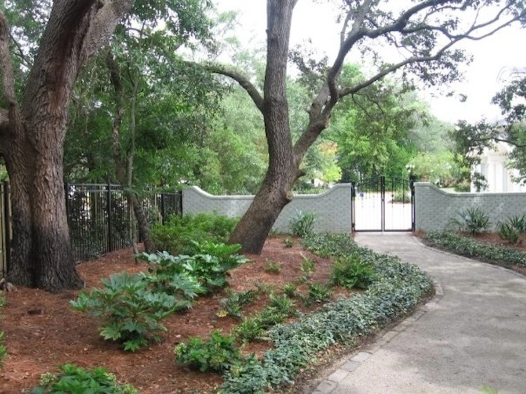 Traditional Shade Garden by Creative Landscapes, Inc. - Photo 12