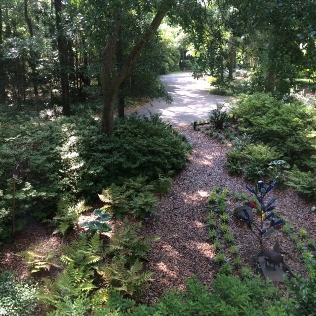 Natural Drought Tolerant Landscape by Creative Landscapes, Inc. - Photo 2
