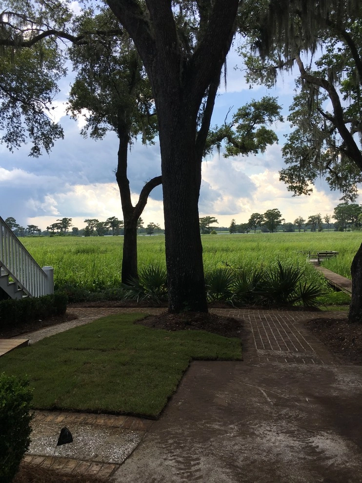 Taming a Jungle by Creative Landscapes, Inc. - Photo 13