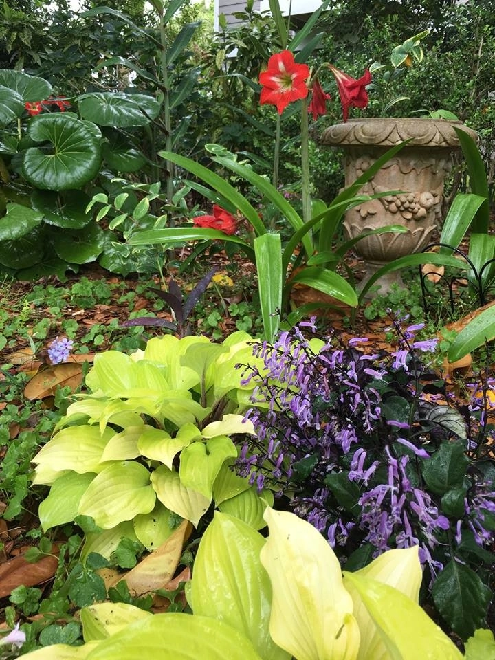 Creative Landscapes, Inc. - Photo 2