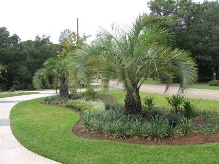 Traditional Shade Garden by Creative Landscapes, Inc. - Photo 17