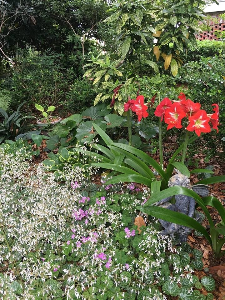 Seaside Perennial Garden by Creative Landscapes, Inc. - Photo 7