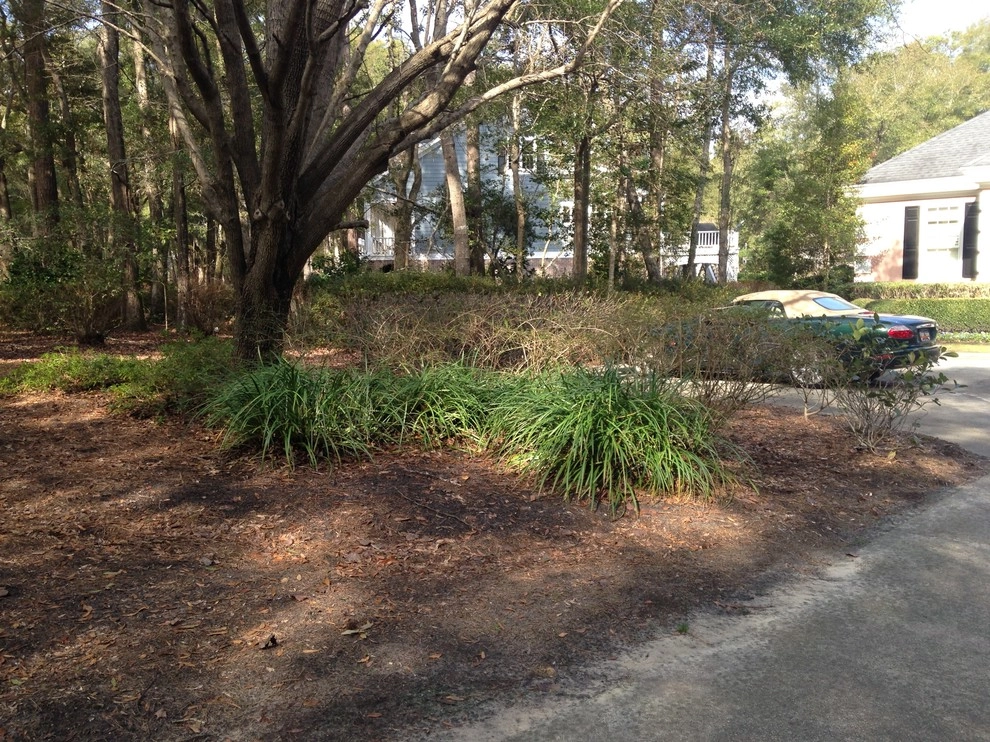 Traditional Curb Appeal Landscape by Creative Landscapes, Inc. - Photo 10