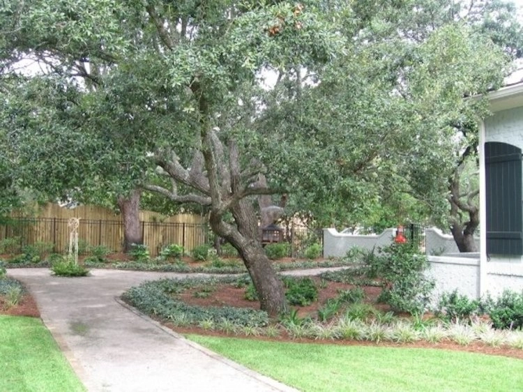 Traditional Shade Garden by Creative Landscapes, Inc. - Photo 21
