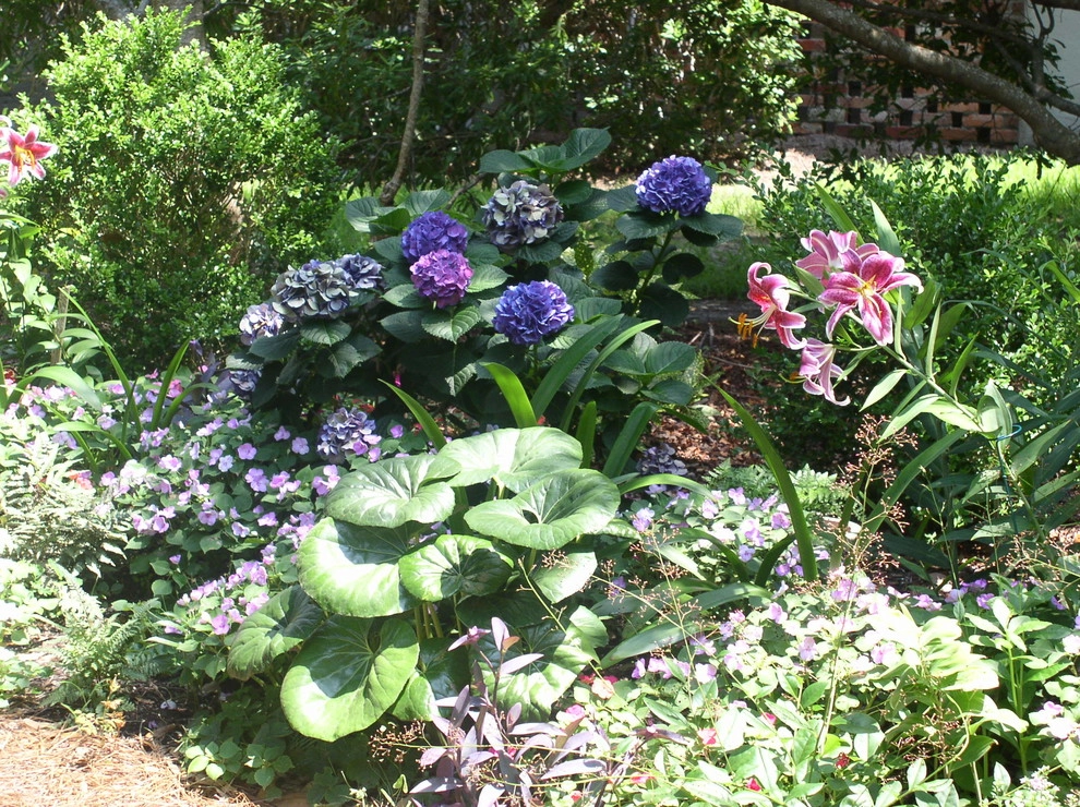 Seaside Perennial Garden by Creative Landscapes, Inc. - Photo 4