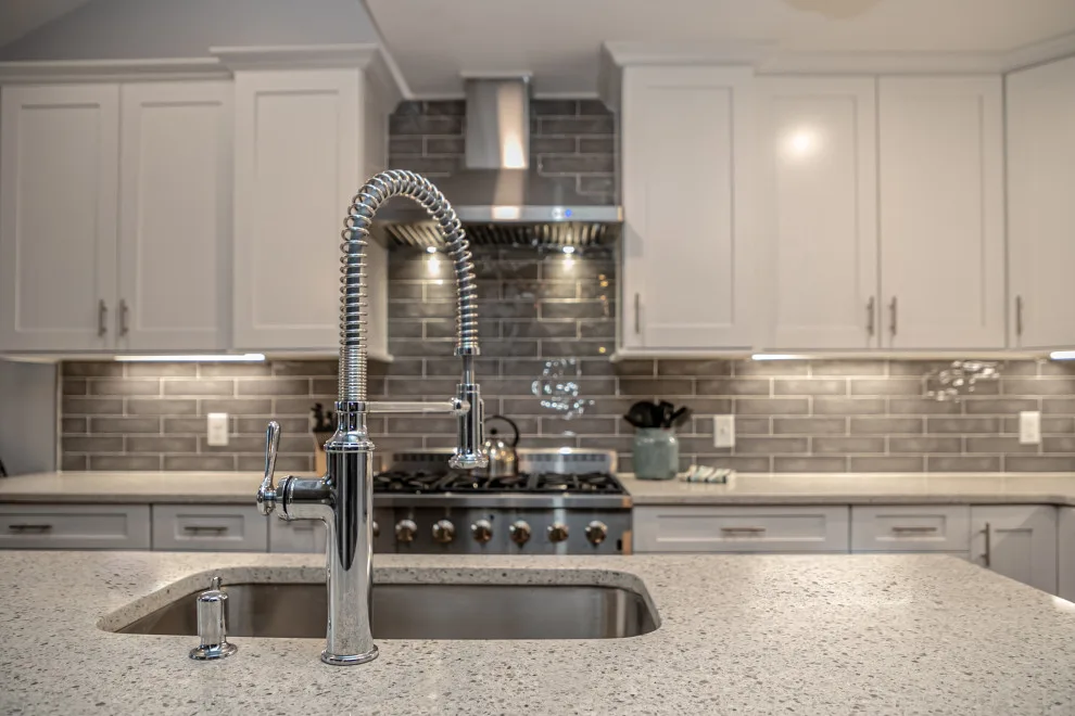 Savannah Marsh Summerfield Renovation by Kitchen Design Solutions - Photo 2