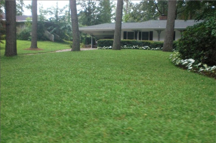 Crowley Total Landscape & Tree Service - Photo 6