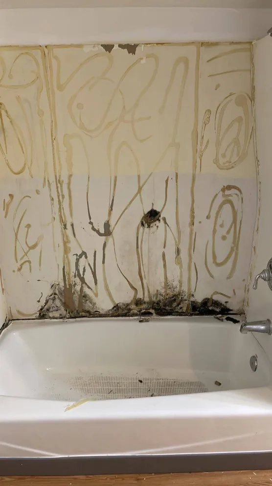 Renovating Homes in Seattle by Handyman Rescue Team - Photo 33