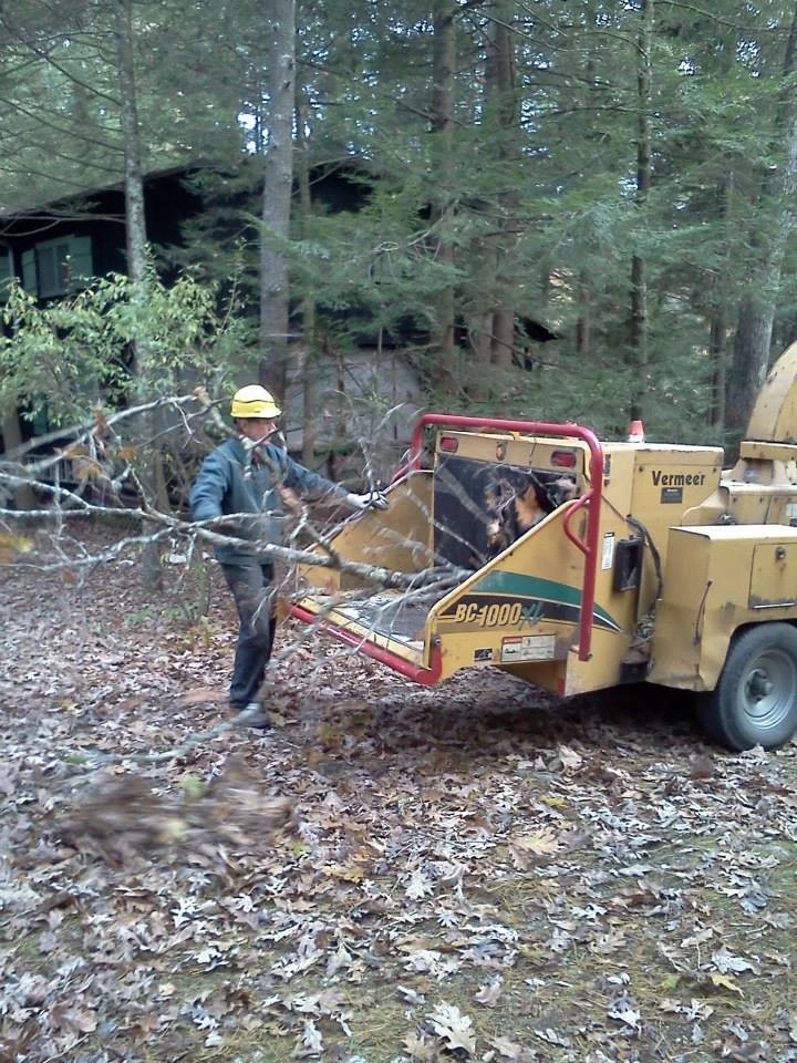 Tree Division by Cumberland Valley Tree Service - Landscaping - Photo 3