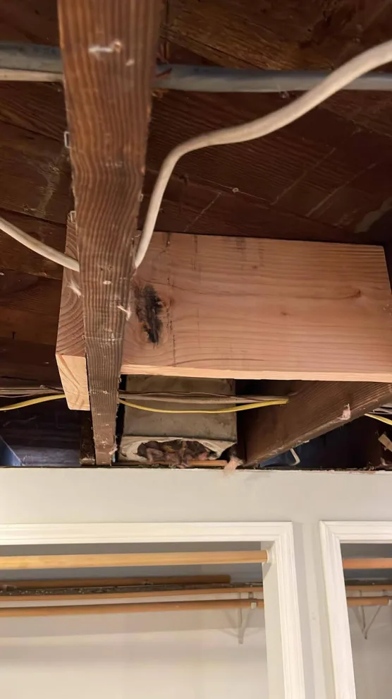 Renovating Homes in Seattle by Handyman Rescue Team - Photo 61