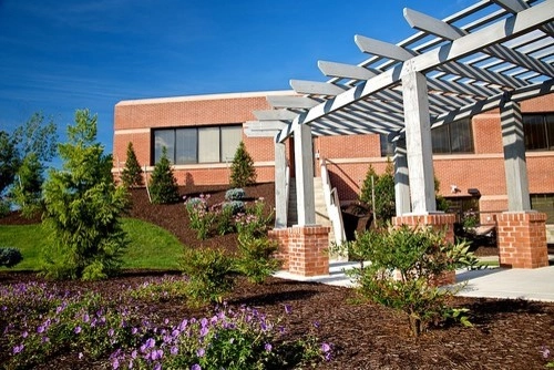 Plantings by Cumberland Valley Tree Service - Landscaping - Photo 5