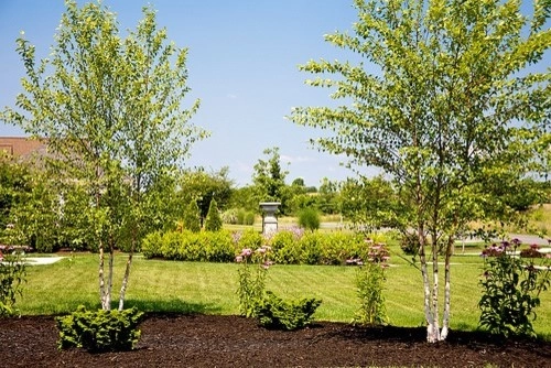 Plantings by Cumberland Valley Tree Service - Landscaping - Photo 11