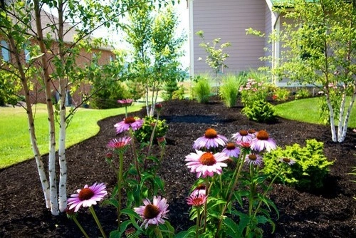 Plantings by Cumberland Valley Tree Service - Landscaping - Photo 12