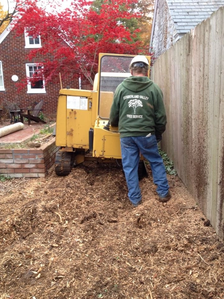 Tree Division by Cumberland Valley Tree Service - Landscaping - Photo 17