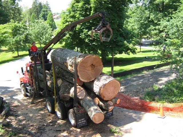 Tree Division by Cumberland Valley Tree Service - Landscaping - Photo 24