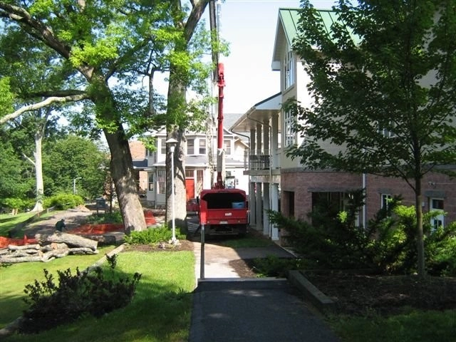 Tree Division by Cumberland Valley Tree Service - Landscaping - Photo 30