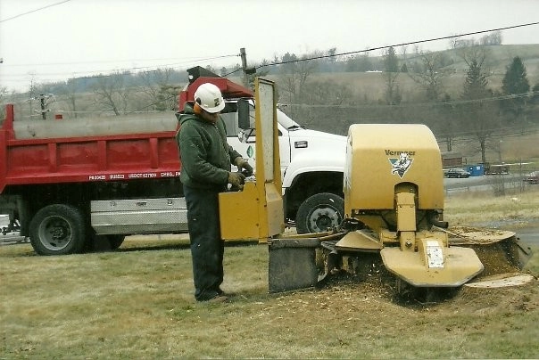 Tree Division by Cumberland Valley Tree Service - Landscaping - Photo 15