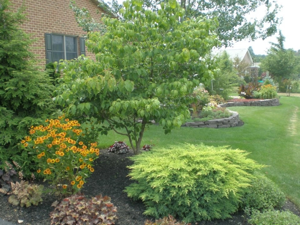 Plantings by Cumberland Valley Tree Service - Landscaping - Photo 28
