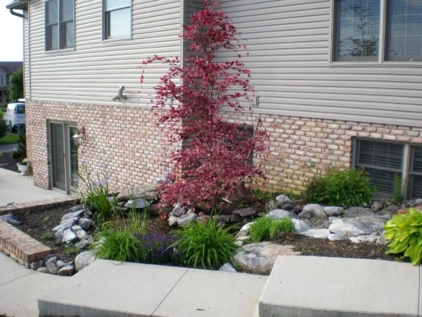 Plantings by Cumberland Valley Tree Service - Landscaping - Photo 30