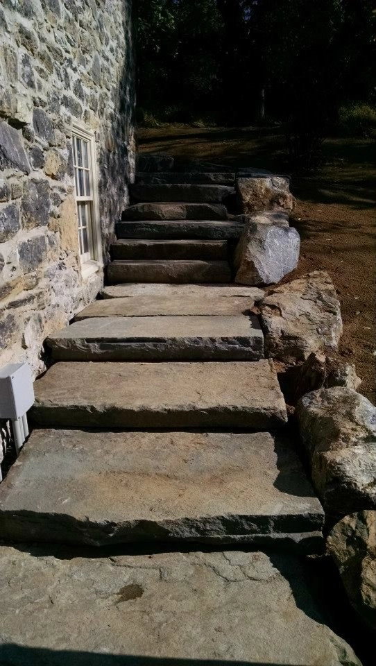 Capone by Cumberland Valley Tree Service - Landscaping - Photo 5