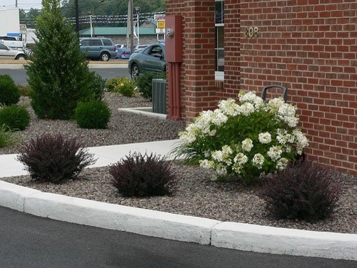 Plantings by Cumberland Valley Tree Service - Landscaping - Photo 17